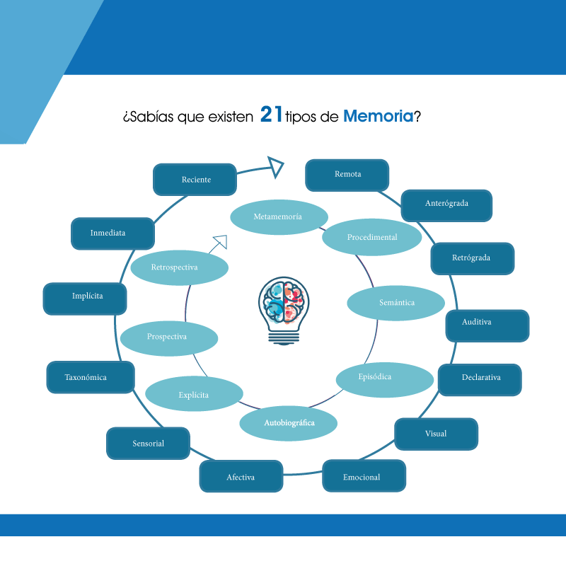 21 tipos de Memoria - HTL Idiomas